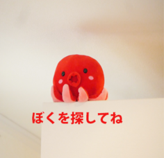 smalltako.png